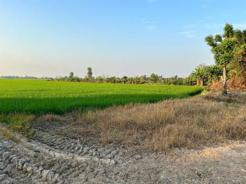 Cho thuê nhà nguyên căn đẹp, mặt tiền đường Số, Tân Quy Q7 - Giá chỉ 12tr